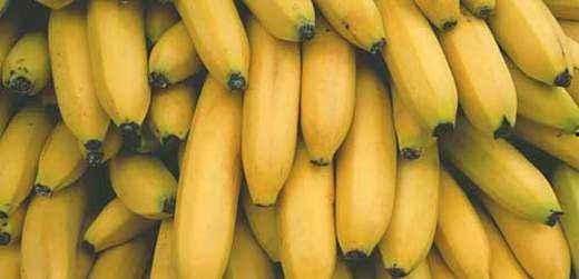 香蕉網(wǎng)國產(chǎn),探索本土創(chuàng)意與產(chǎn)業(yè)的融合之路