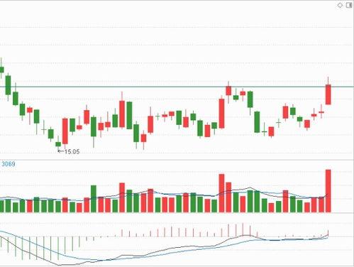 國(guó)產(chǎn)黃視,探尋中國(guó)視覺藝術(shù)的獨(dú)特魅力