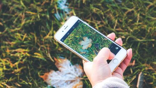 手機(jī)看片國(guó)產(chǎn)福利永久,手機(jī)看片福利無(wú)限，帶你領(lǐng)略視聽盛宴