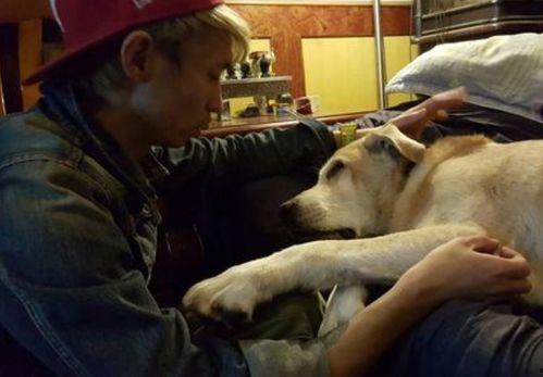 國(guó)產(chǎn)人與狗,探尋人類與動(dòng)物和諧共生的奧秘