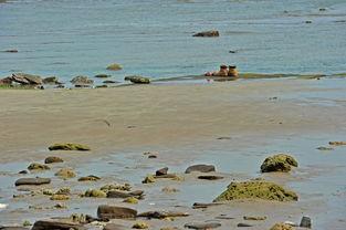 愛情島國產,探尋異域風情的愛情秘境